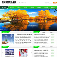 中英文企业手机电脑网站建站模板